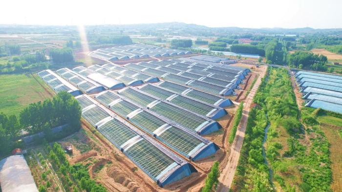 资料图片(来源:柳山镇人民政府) 资料图片(来源:柳山镇人民政府)