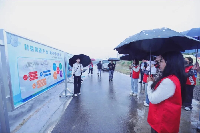 1482524284097536 1482524284097536