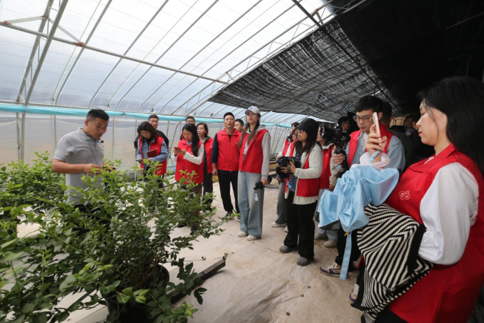 1482524284703744 1482524284703744