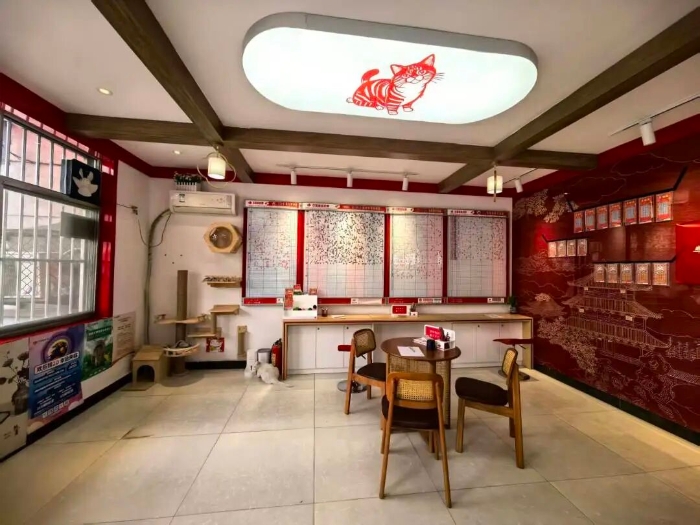 照明灯上的猫猫剪纸惟妙惟肖 照明灯上的猫猫剪纸惟妙惟肖