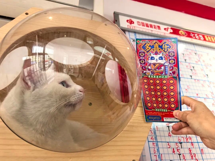 本喵最喜爱的刮刮乐“多喜乐” 本喵最喜爱的刮刮乐“多喜乐”