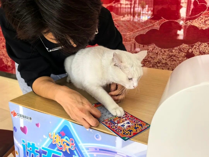 本喵也爱刮刮乐~ 本喵也爱刮刮乐~