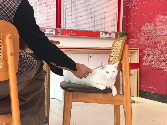 1498678635156480 1498678635156480