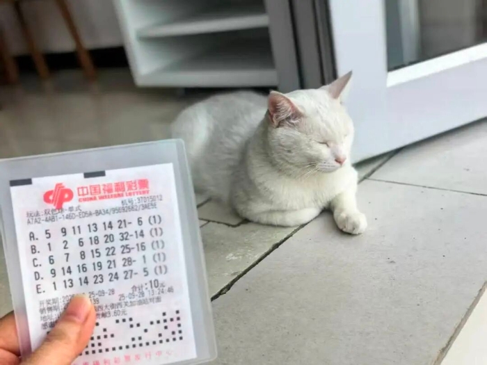 1498678635770880 1498678635770880