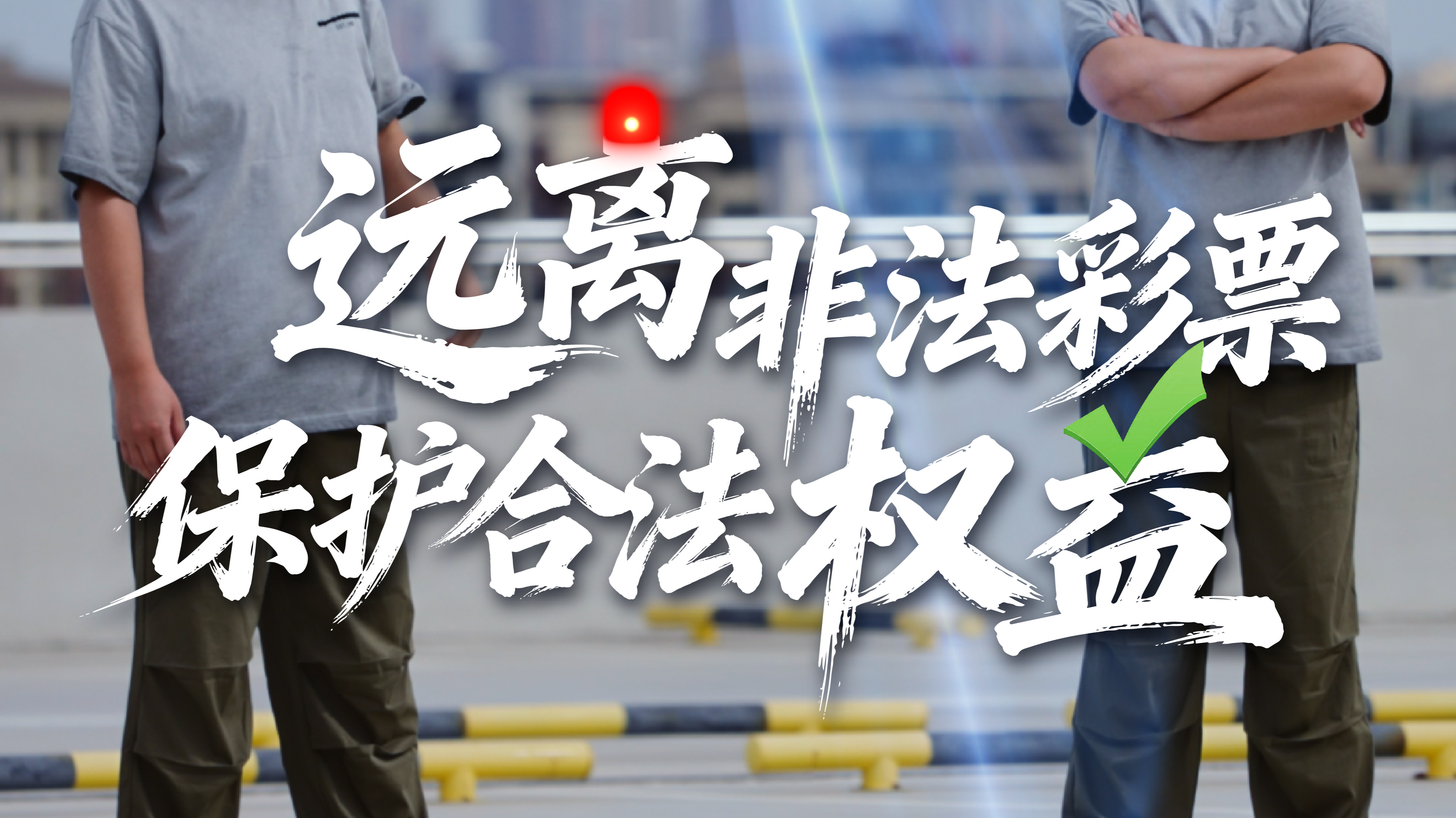 【购彩者保护】真假店主难分辨？终极对决，乐小星如何一招制敌！