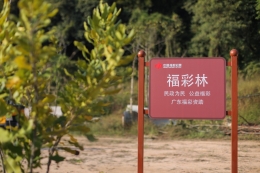 传递公益初心 播种绿色希望 广东福彩连续三年助力义务植树活动