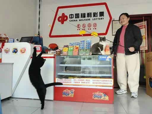 37098356号福彩销售站 37098356号福彩销售站