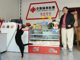 《中国社会报》：公益与治愈