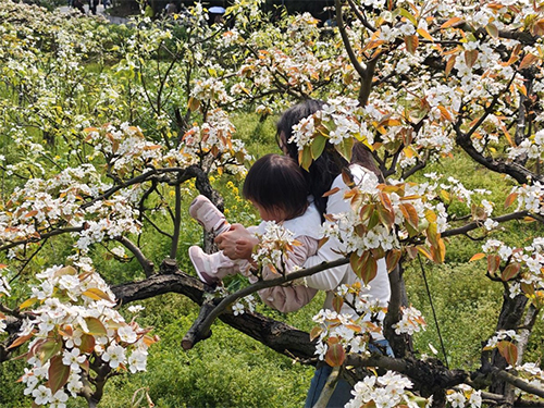 44036b28695040328e2914f41c4edc60