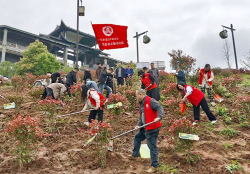 97f800e37b8046ffbdb0b0043bb869f9