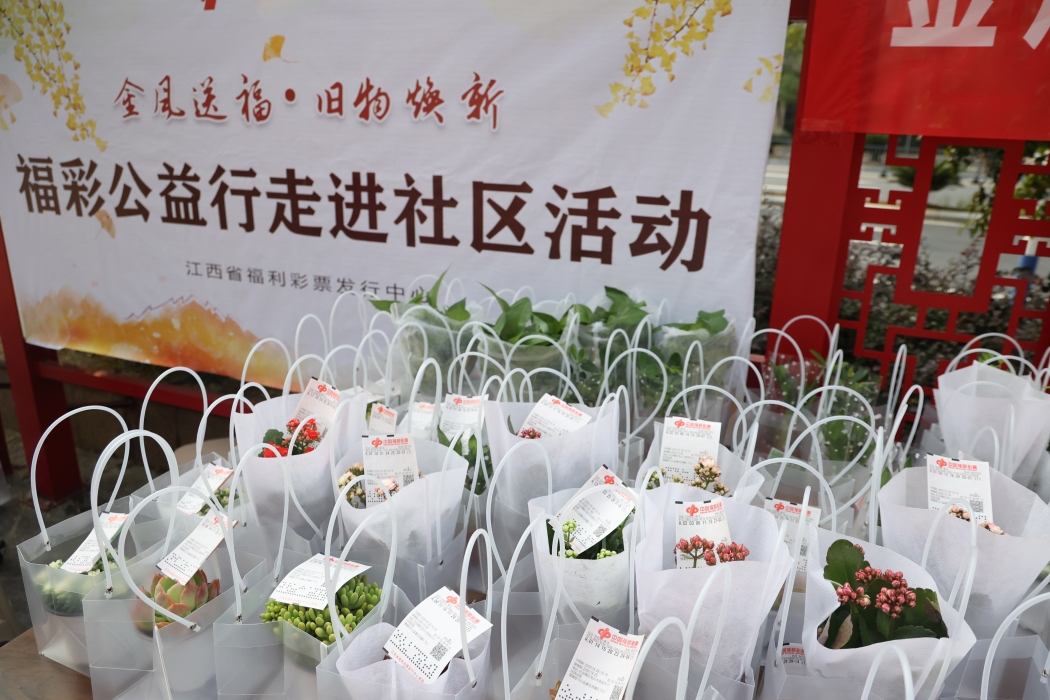 旧书换新绿 公益福彩走进社区传递责任彩票温度